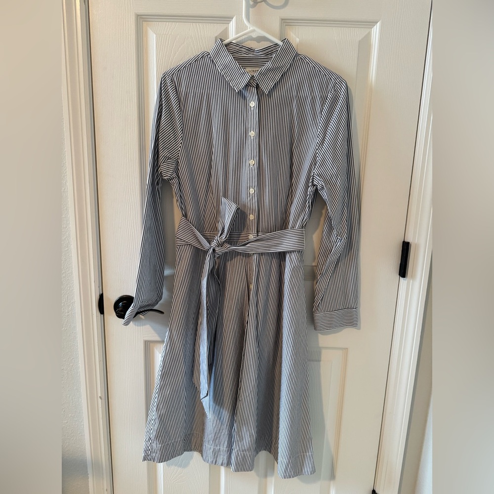 J. Crew Navy and White Striped Shirt